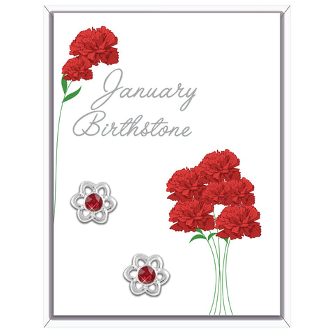 January Flower Earrings (AE101)
