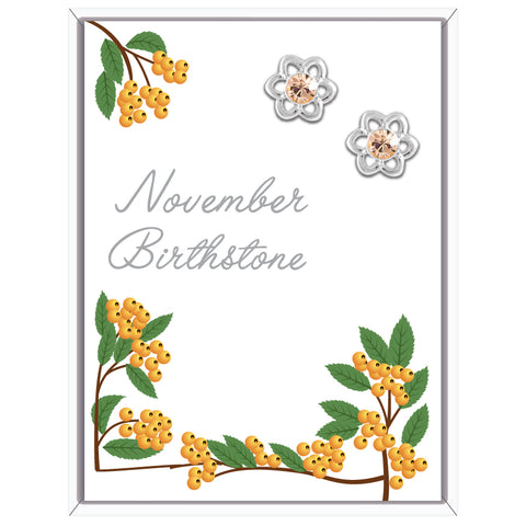 November Flower Earrings (AE111)