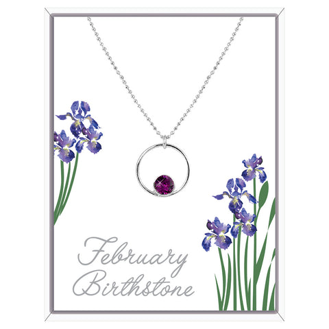 February Circle Pendant Necklace (AC102)