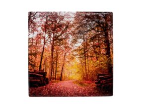 20x20 TRIVET CABANAS