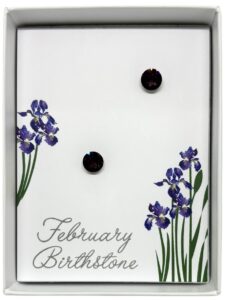 February Birthstone Stud Earrings (B1321)