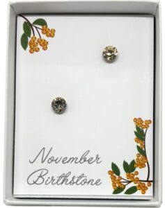 November Birthstone Stud Earrings (B1330)