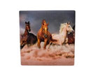 10x10 COASTER GALLOPING