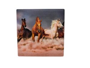 10x10 COASTER GALLOPING