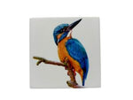 10x10 COASTER KINGFISHER