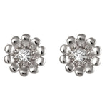 Daisy Rhodium Little Box Earrings (L1012)
