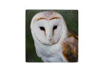 20x20 TRIVET OWL