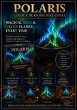 POLARIS COLOUR BURNING PINE CONES