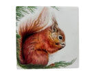 10x10 COASTER SQUIRREL