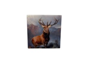 10x10 STAG COASTER