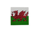 10x10 WELSH DRAGON COASTER