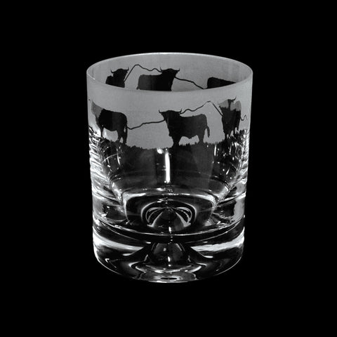 HIGHLAND T17 WHISKY TUMBLER