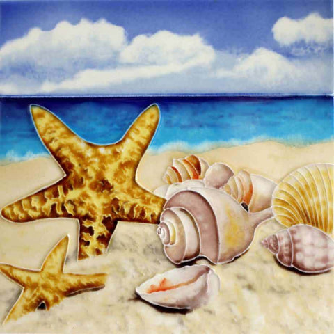 8x8" SEA SHELLS