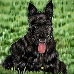 8x8" BLACK SCOTTISH TERRIER