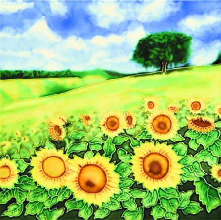 8x8" SUNFLOWER FIELD