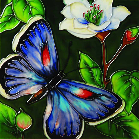 8x8" BUTTERFLY BEAUTY II