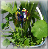 Small Hydro Globe