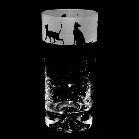SIAMESE CAT T18 HIGHBALL TUMBLER