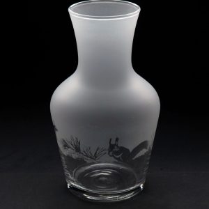 SQUIRREL C50 CARAFE 500ML