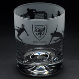 YMA O HYD WALES T17 WHISKY TUMBLER